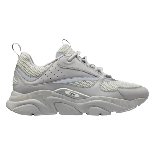 Dior B22 Grey